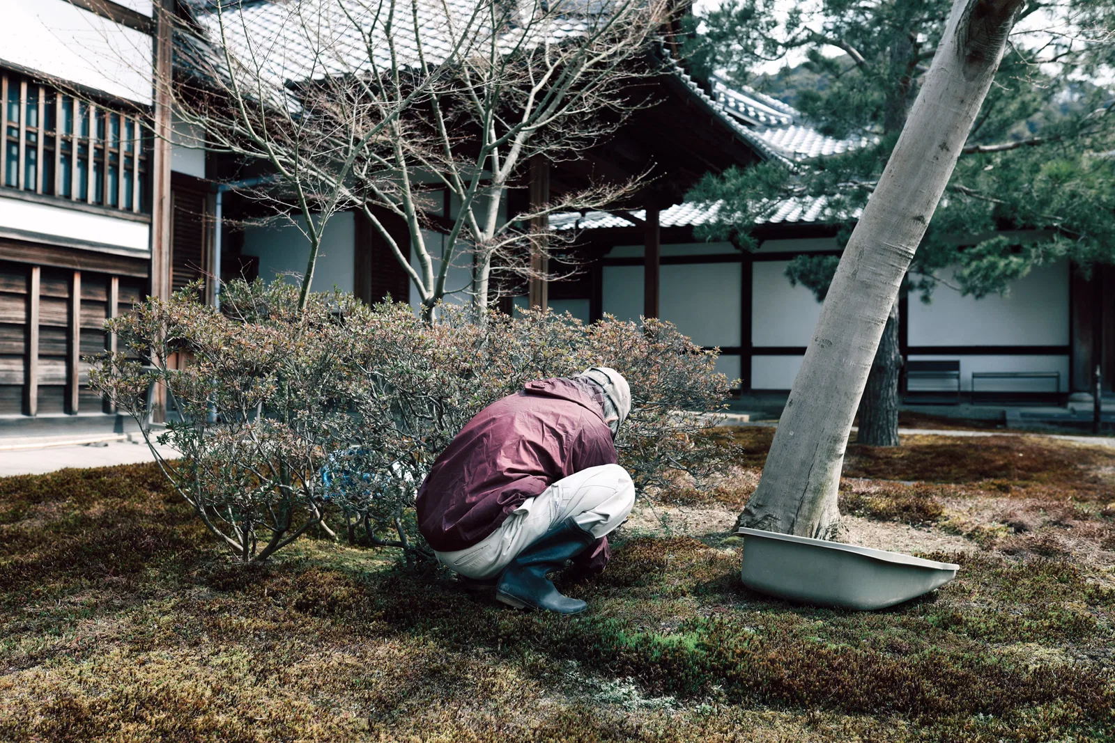 NIWA SHI