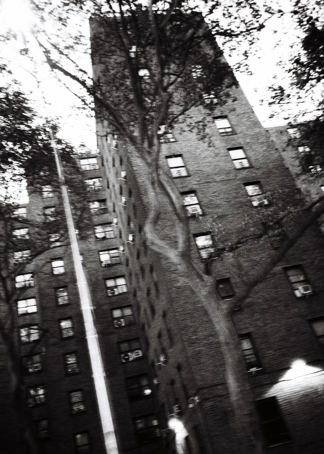 MARCY HOUSES
