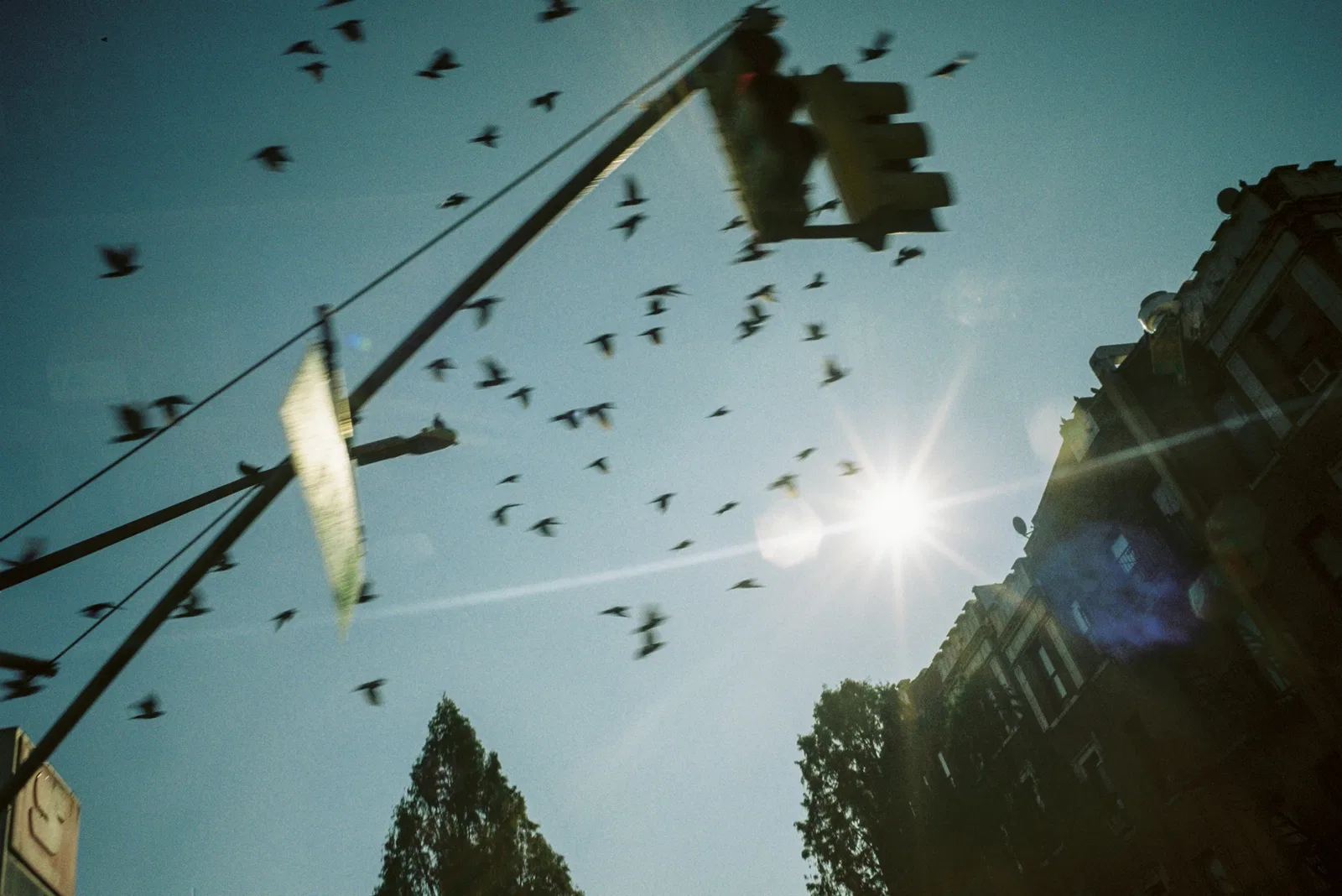 FREEDOM