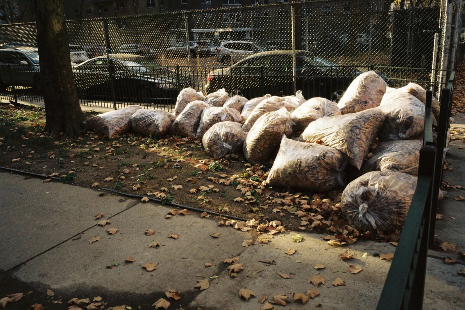 AUTUMN