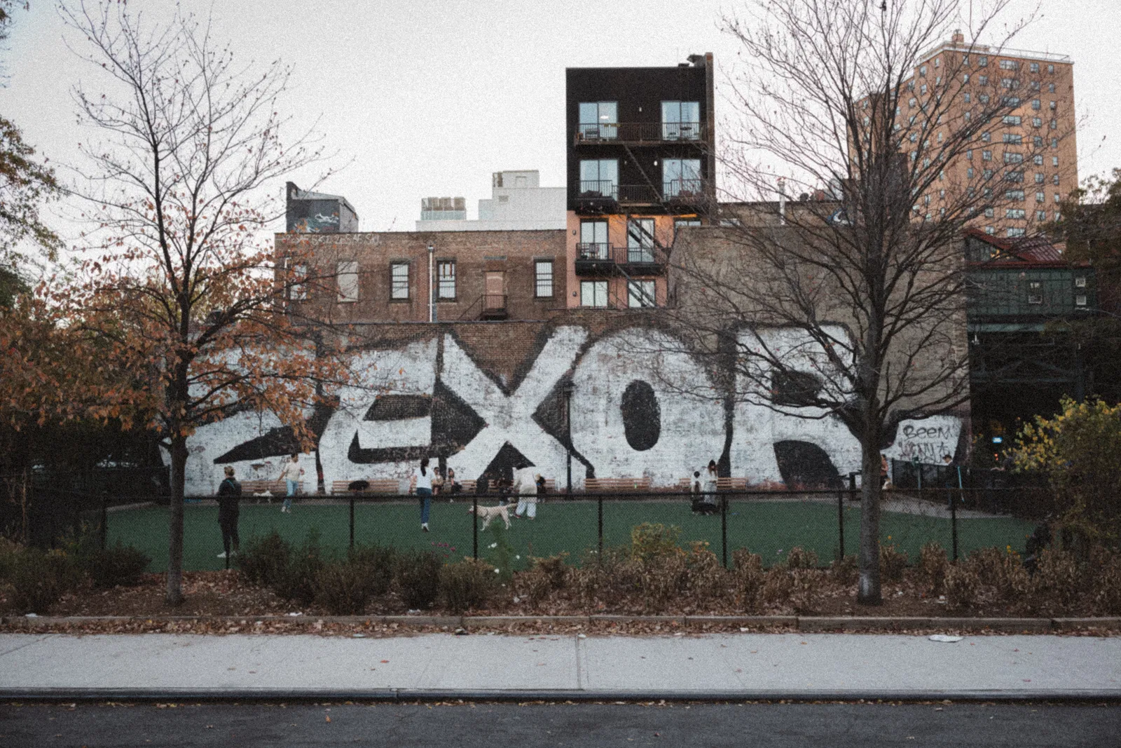ZEXOR