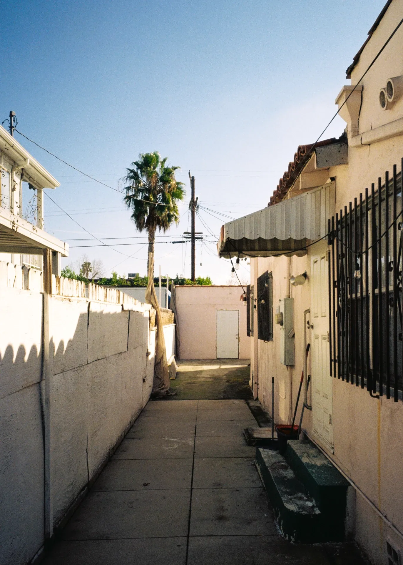 LA BACKYARD