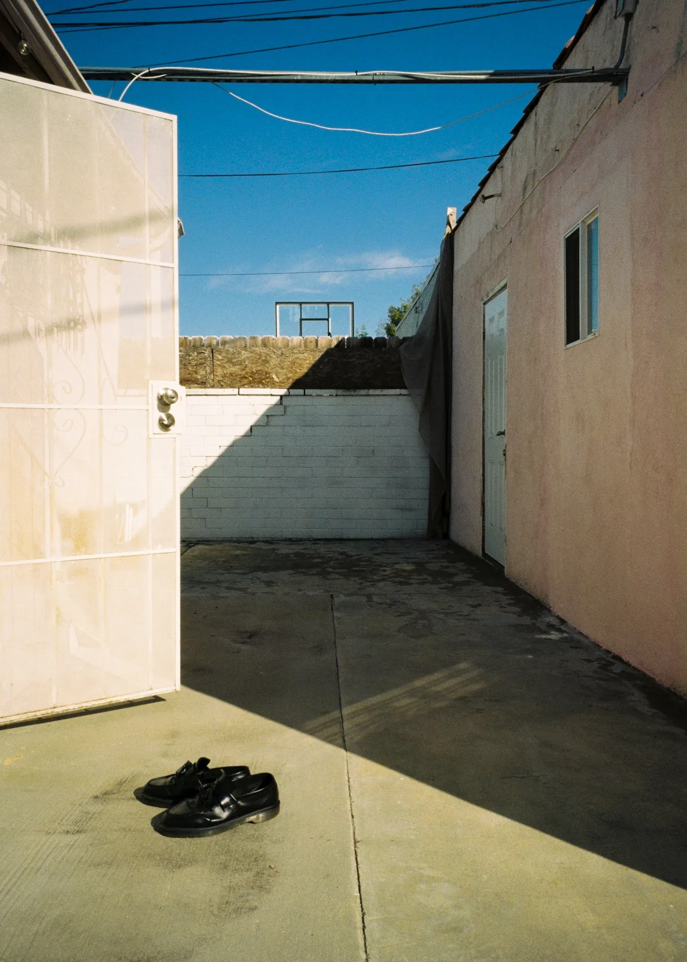 L.A BACKYARD