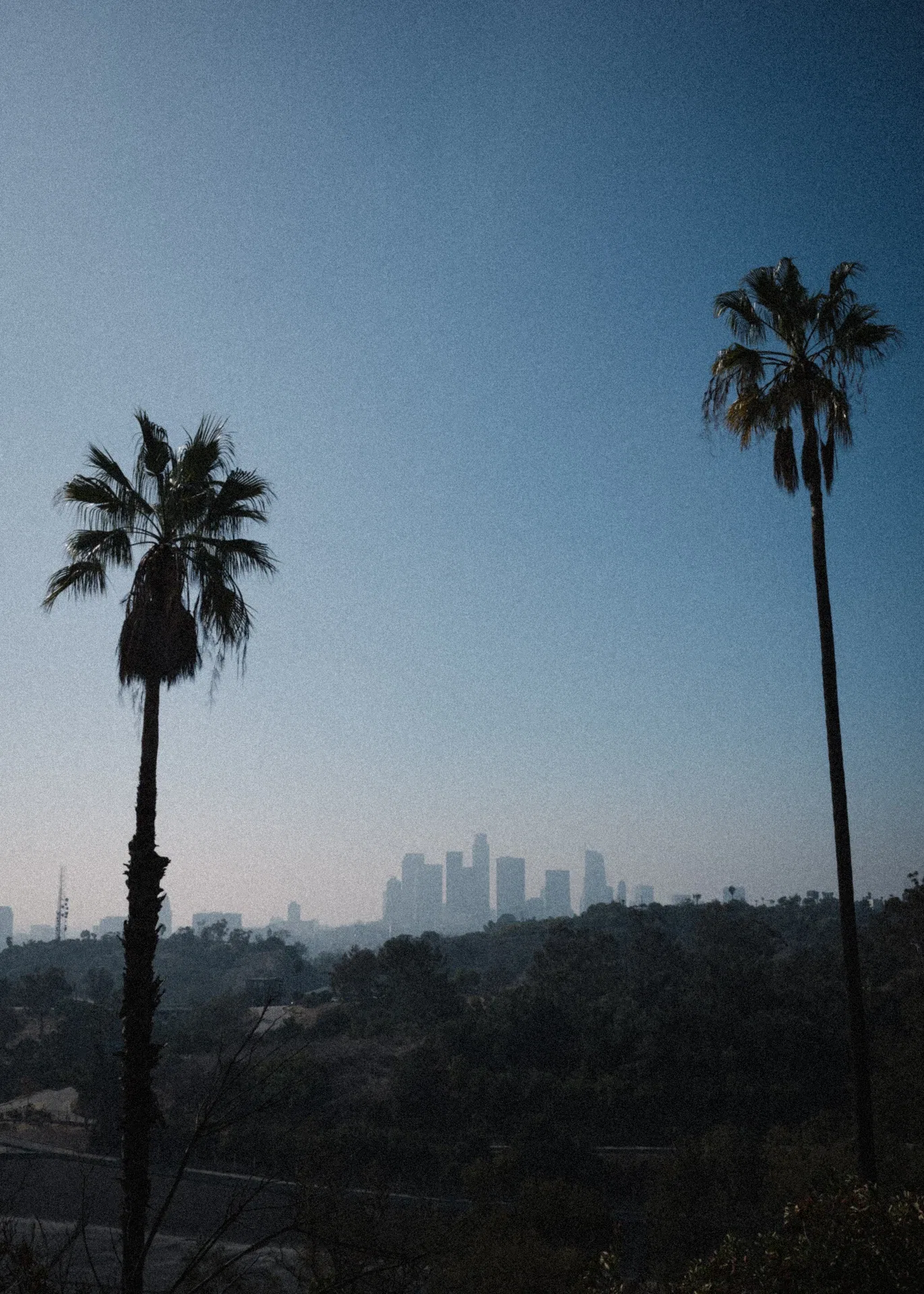 LA HILLS