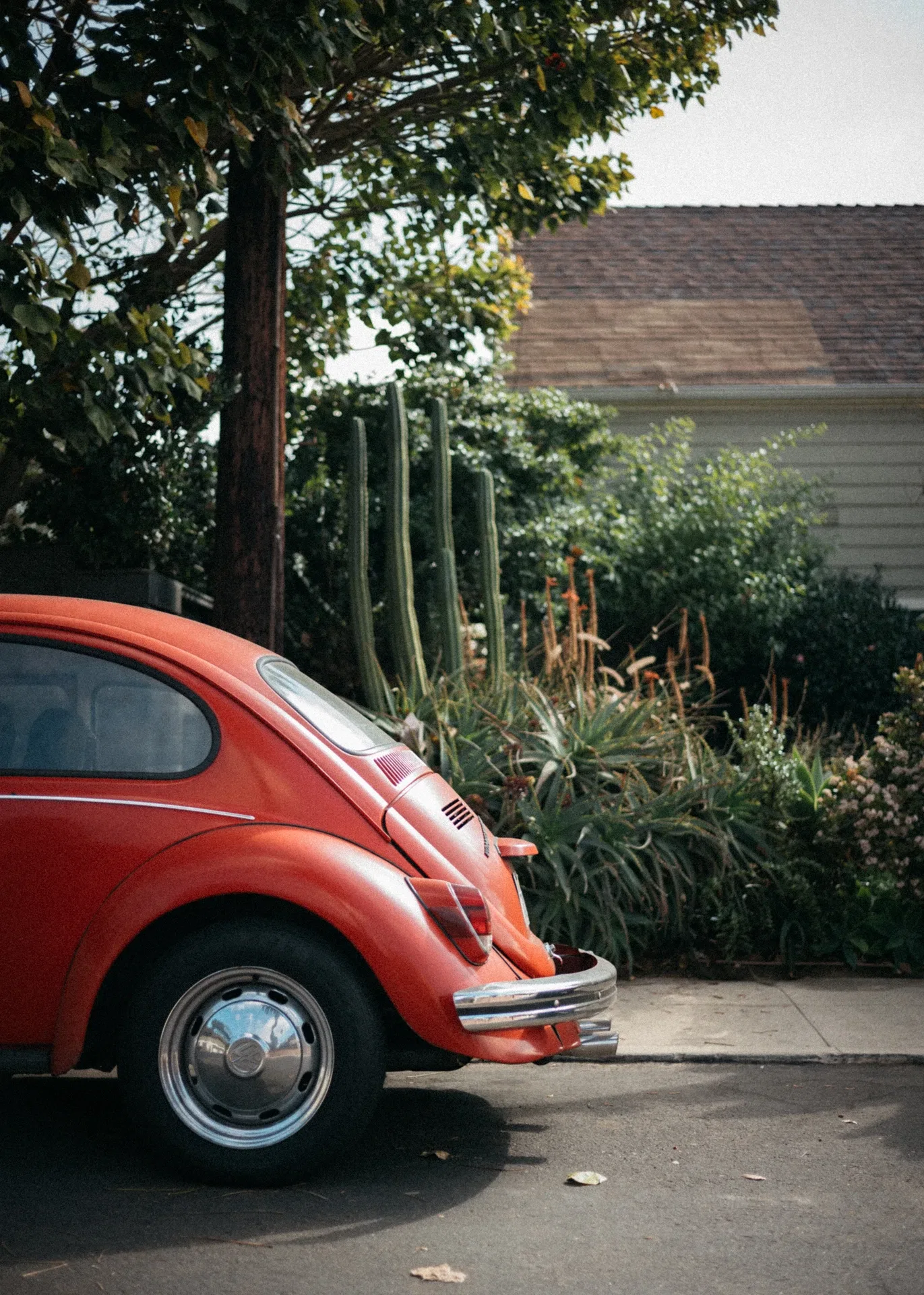 BEETLE