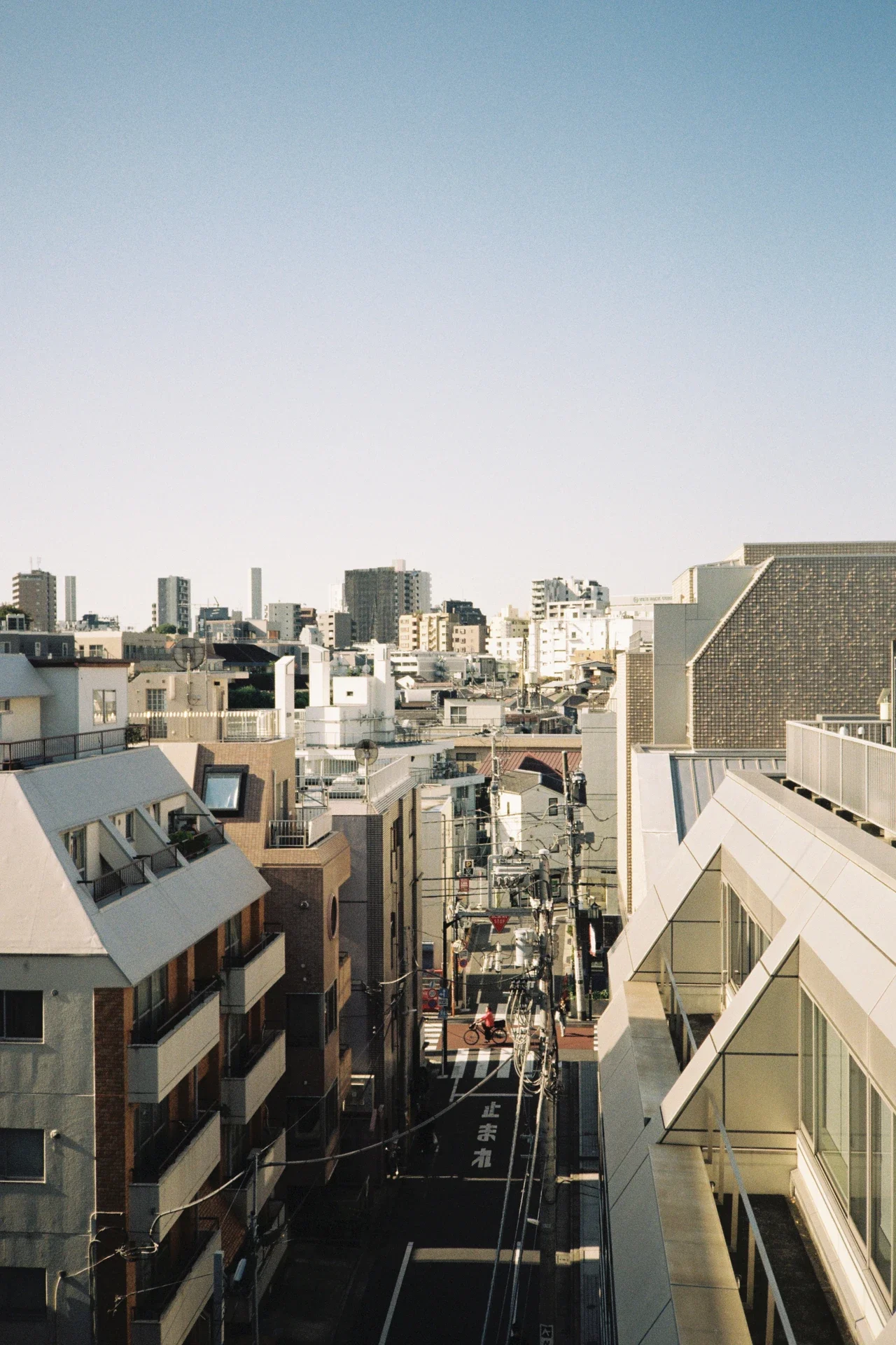TOKYO ROOFS