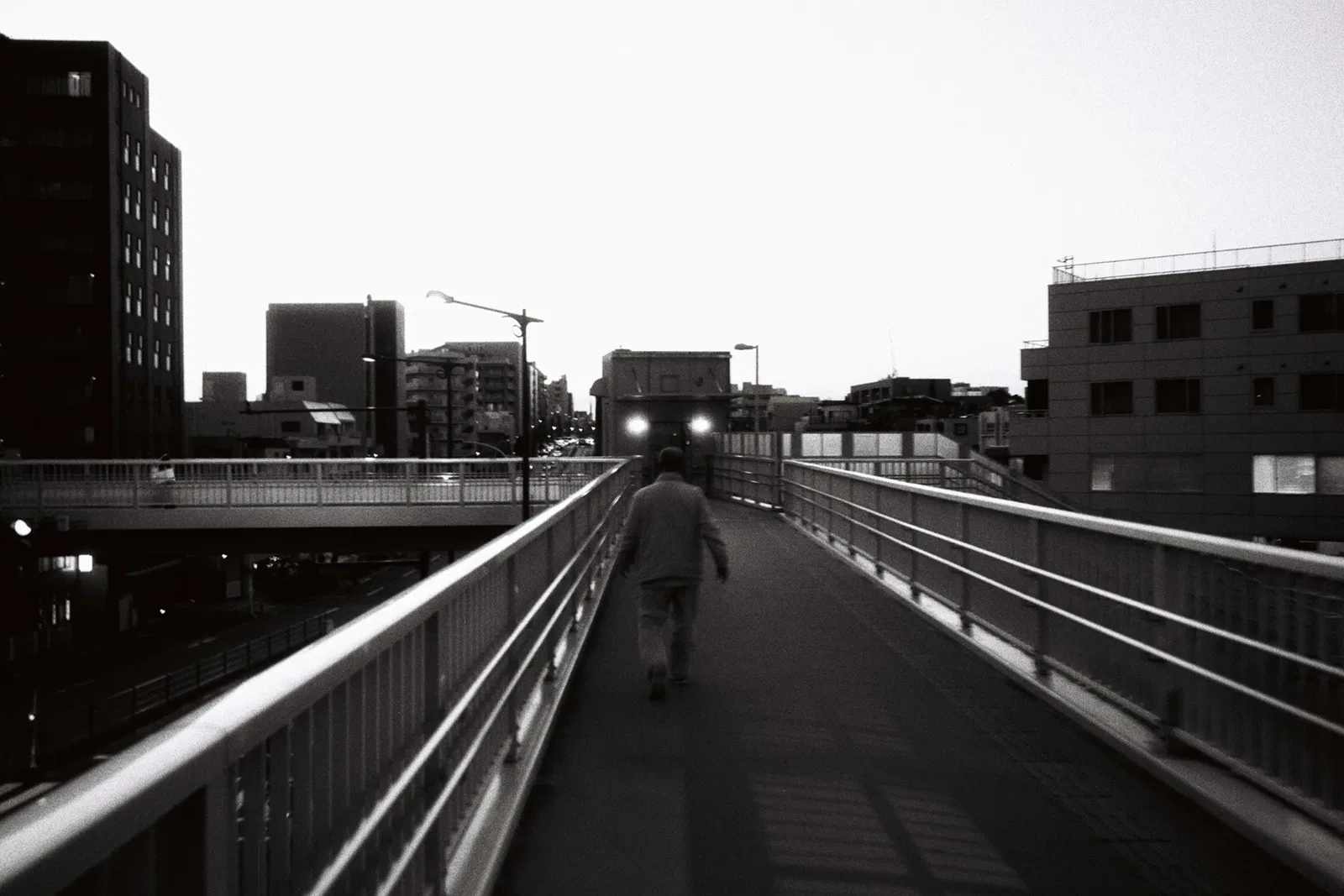 EVENING WALK